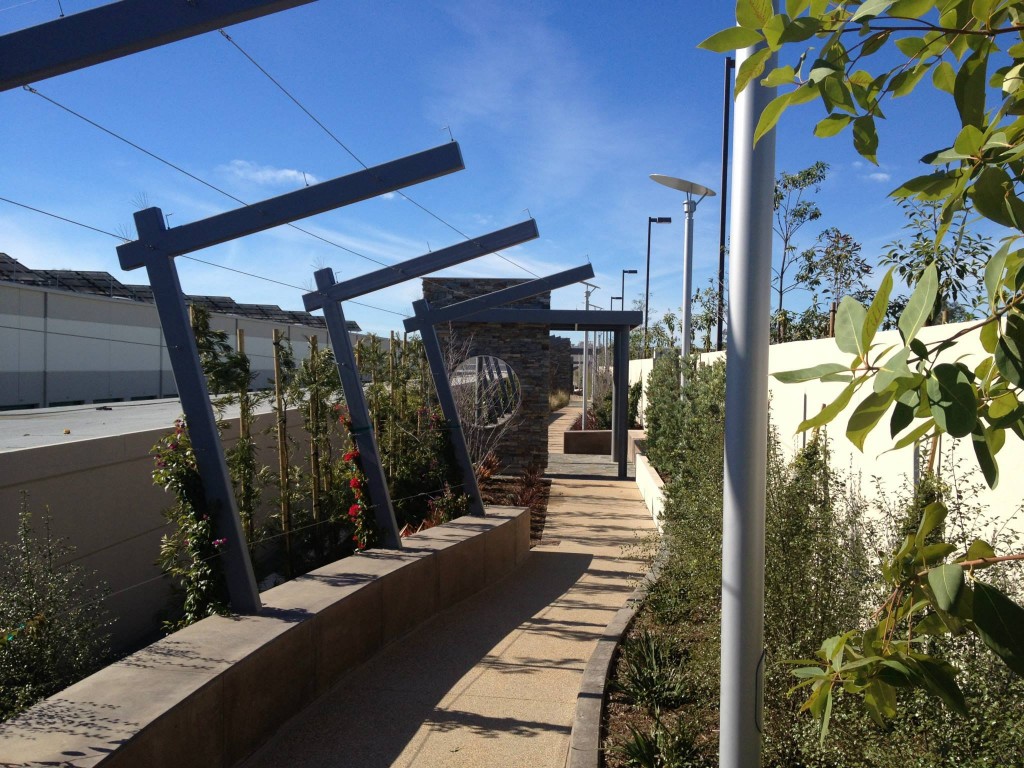 Finished outdoor walkway with steel trellis structure